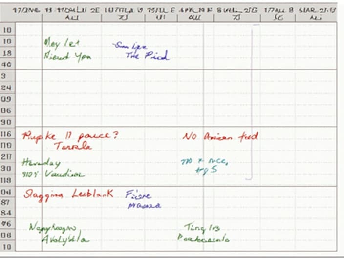 Example of a well-maintained food diary with detailed entries